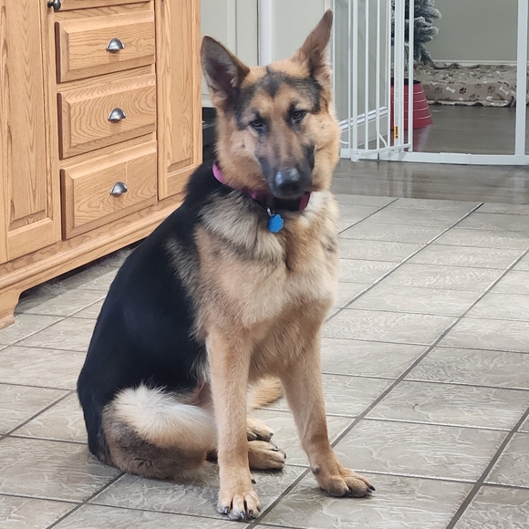 💥LIKE TO BE NOTIFIED💥 2025 SCHEDULE - Picture 6 of 7